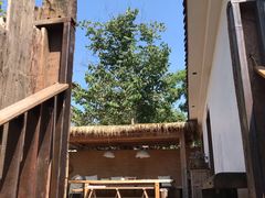 -悦哉·派对·草坪婚礼·围炉煮茶(三圣乡店)