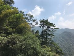-东天目山风景区