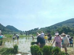 -i2青少儿英语(爱加星悦荟店)