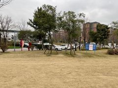 一定要停公园内的停车场-天府芙蓉园