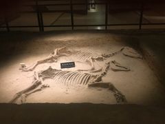 -洛阳周王城天子驾六博物馆