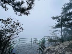 -四明山国家森林公园
