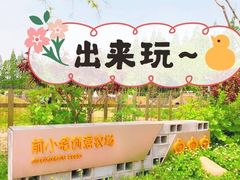 -前小桔亲子创意农场·草莓采摘·露营烧烤