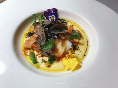 -蝶舍·MAISON PAPILLON