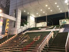 -九龙公园