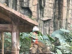 -南宁市动物园