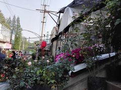 -金陵花卉交易市场