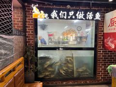 -肥鱼屯活鱼锅(惠工街店)