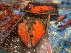 -喜宴又一村·粤菜·茶点·海鲜(壹方天地店)