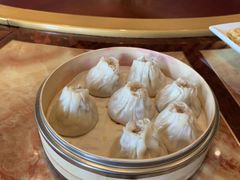 -碧丽宫大酒店(召稼楼店)