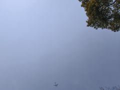 -上海鲜花港
