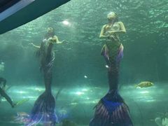-苏州海洋馆