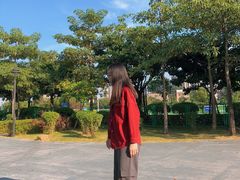 -飞来湖湿地公园