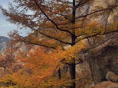 -崂山巨峰游览区