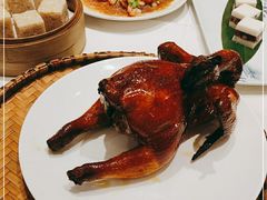 -稻香酒家·35年老字号(侨光店)