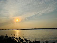 -宝安西湾红树林湿地公园