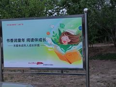 -大港湿地公园