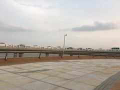 -演武大桥观景平台