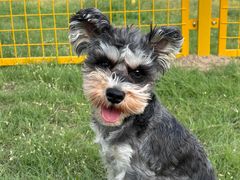 -乖乖宠物医院·猫科·骨科·24小时(云岗分院)