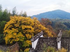 -塔川景区