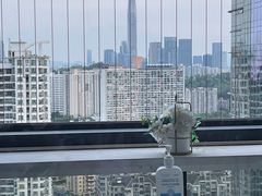 -MASTER FIT 拉伸大师·筋膜刀·西式按摩(上梅林卓悦汇店)