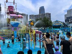 -海合安成都极地海洋公园