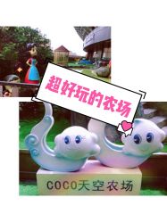 -可可天空农场(中大店)