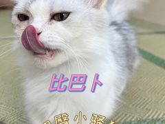 -谐和益家动物医院·免疫绝育·血液透析·宠保定点医院(高新伊藤分院)