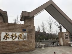 -水杉园