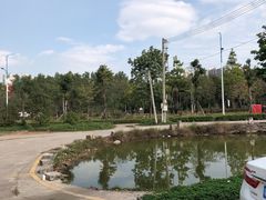 -大亚湾红树林城市湿地公园