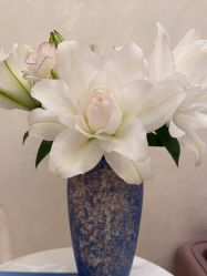 -尊尚柏丽美容SPA