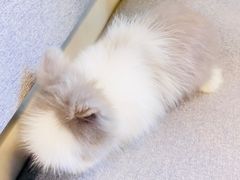 -小意思咖啡店(草桥店)