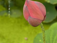 -朝阳公园
