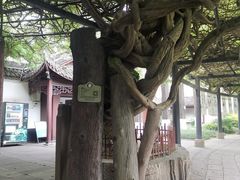 -桂湖森林公园