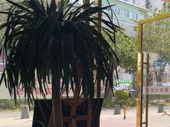 -紫瑞中医馆·养生推拿·中式筋膜(龙华店)