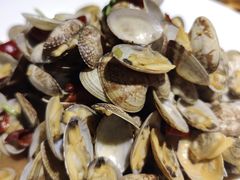 -船歌·鱼水饺青岛菜(金狮广场店)