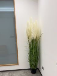 -郑州米兰柏羽集美医疗美容医院