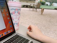 -爪吧宠物乐园 (温榆河示范区店)