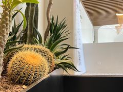 -J Create城市露营咖啡·简餐·宠物(上海动物园店)