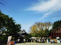 -五凤溪古镇