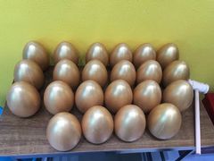 -玩胜青少儿体能(福田侨香中心)