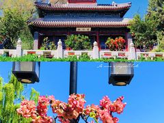 -陶然亭公园