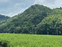 -东钱湖旅游度假区