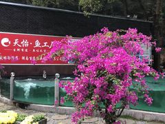 -天怡·鱼工厂(梅溪湖店)