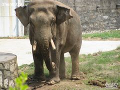 -西安秦岭野生动物园