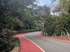 -火炉山森林公园