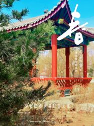 点击看大图 -宝馨月月子中心(友谊医院店)