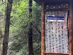 -兰亭风景区