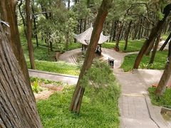 -七曲山风景区