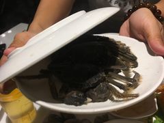 -鼎香缘海鲜自助火锅烤肉(锦辉购物广场店)